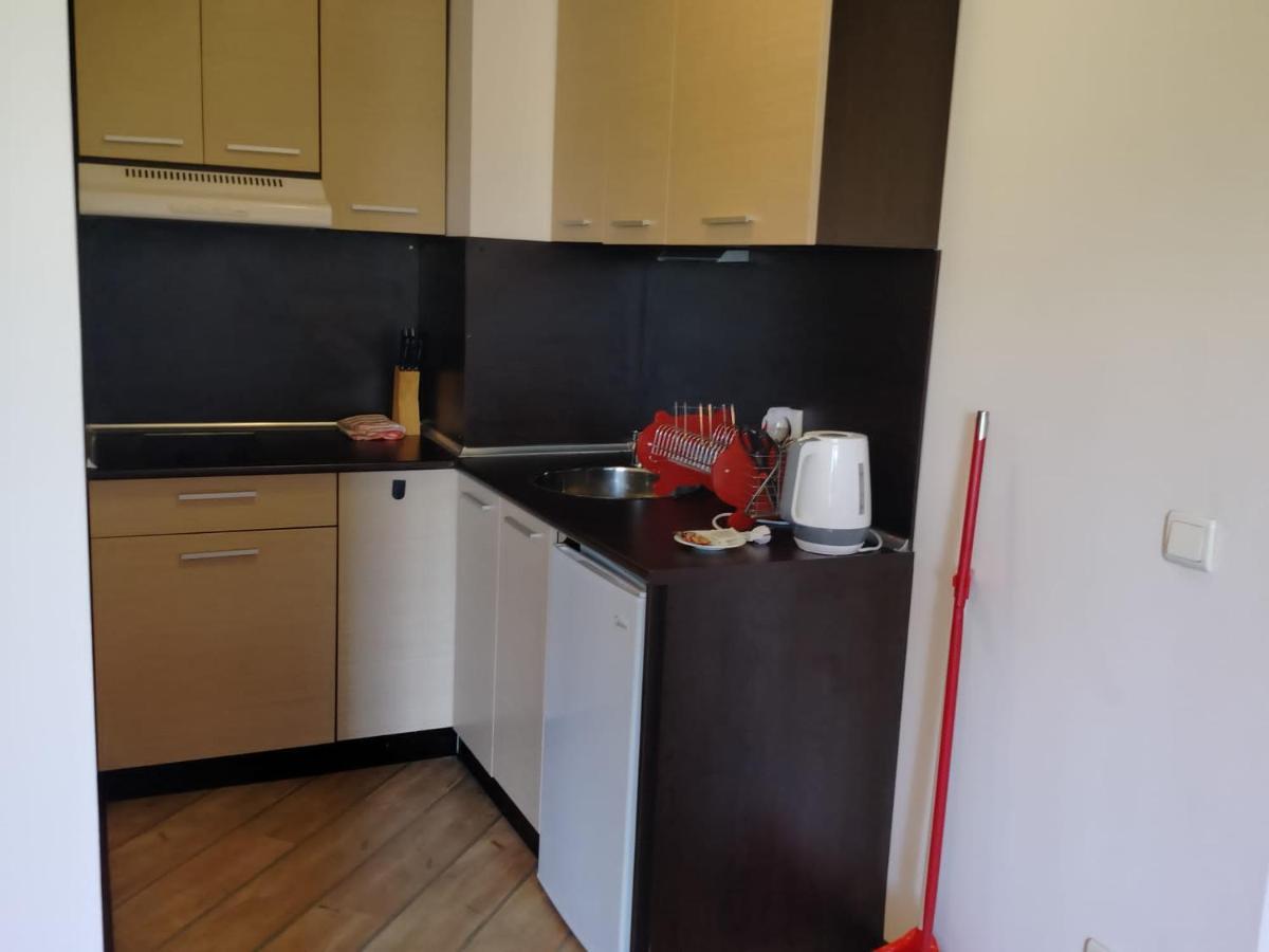 Alpine Lodge Bansko Apartments Экстерьер фото
