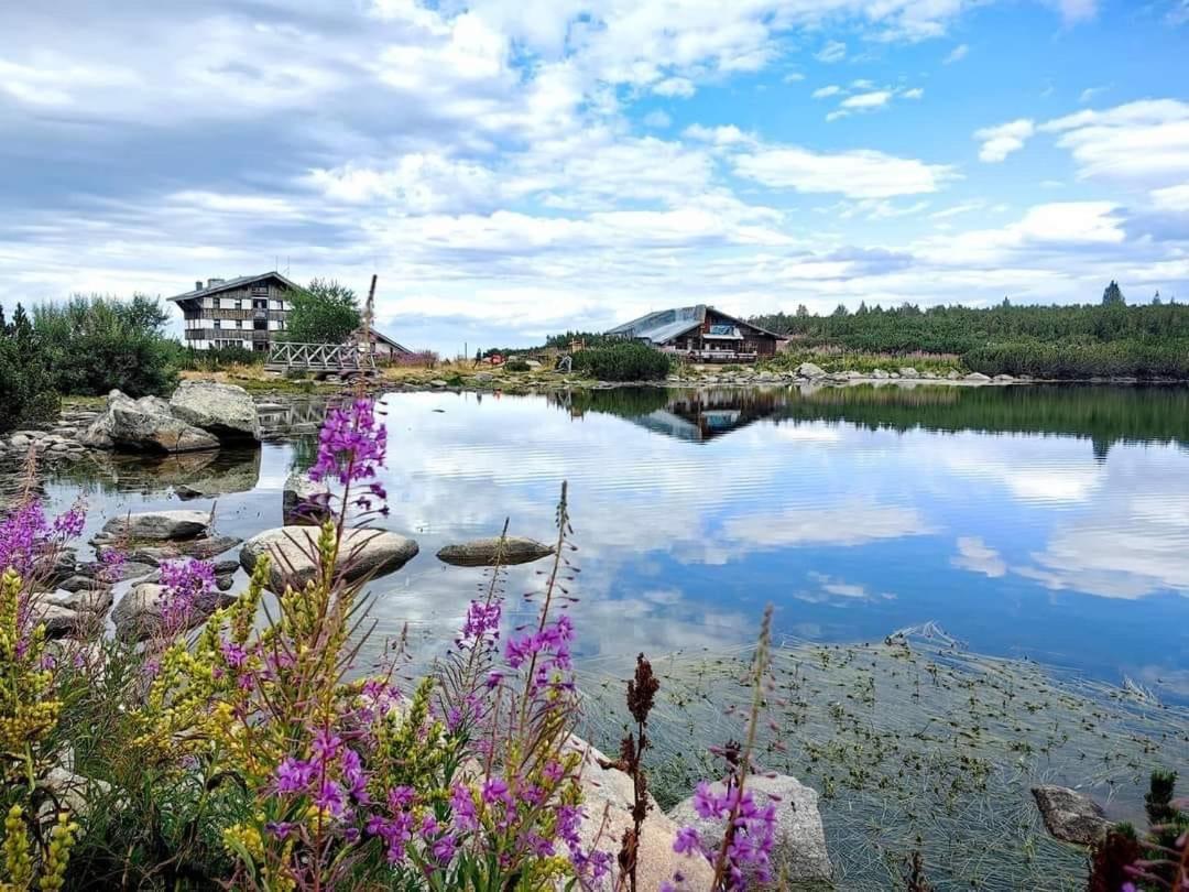 Alpine Lodge Bansko Apartments Экстерьер фото