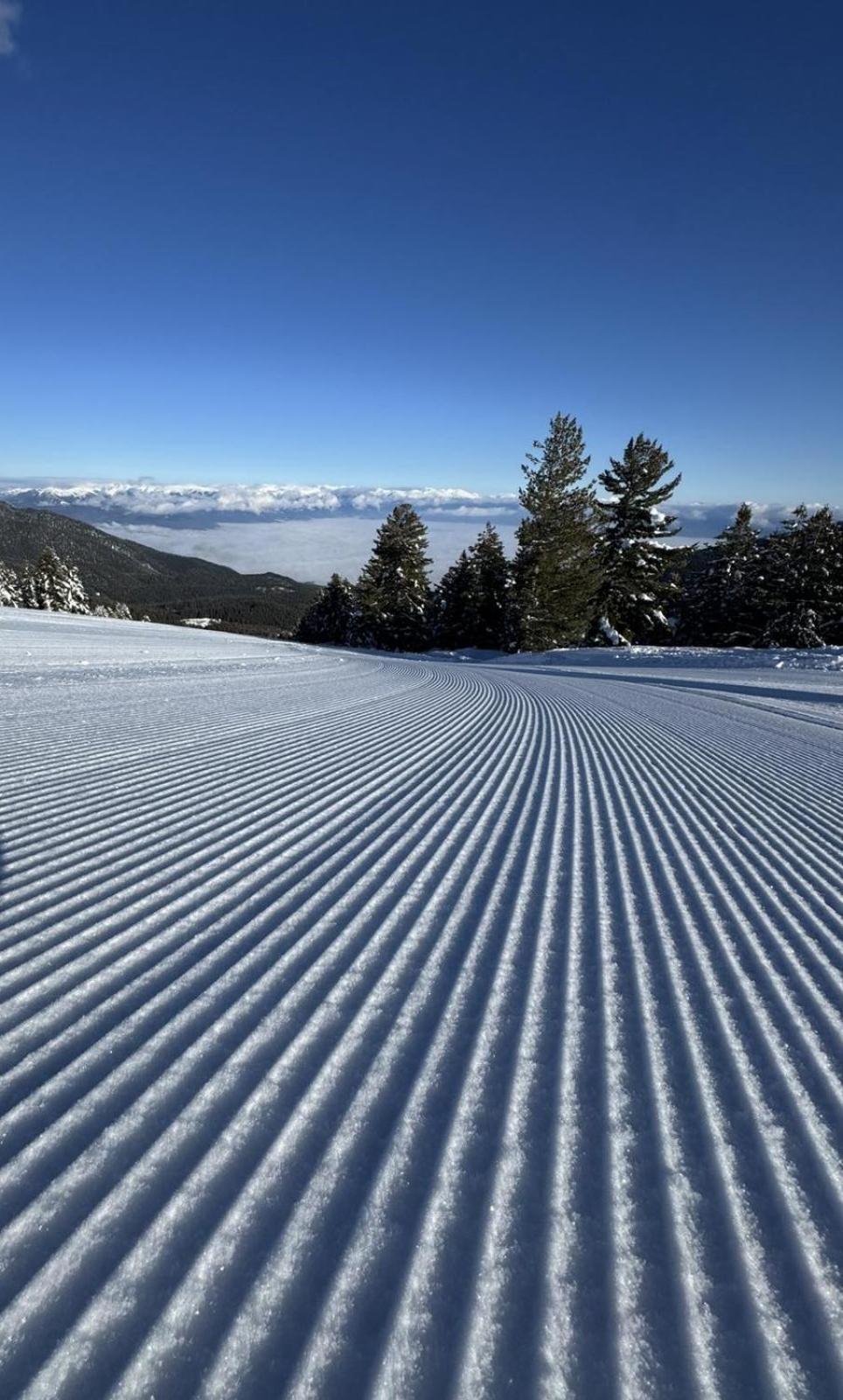 Alpine Lodge Bansko Apartments Экстерьер фото