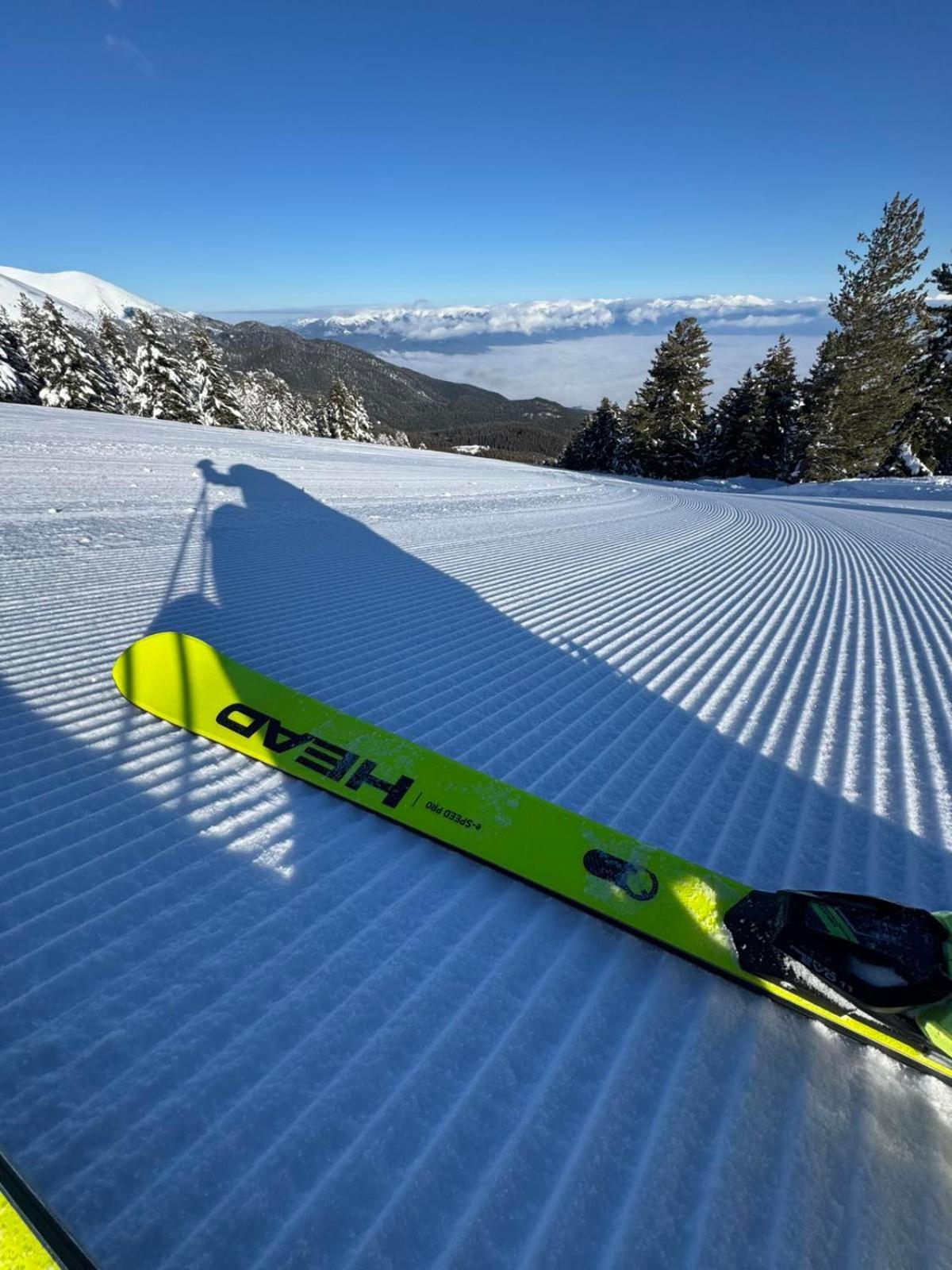 Alpine Lodge Bansko Apartments Экстерьер фото